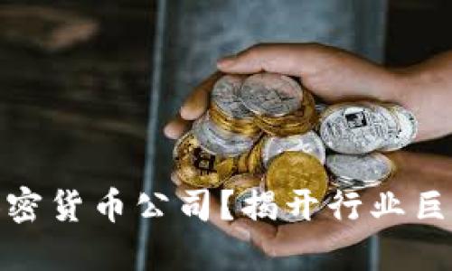 谁才是最佳加密货币公司？揭开行业巨头的神秘面纱