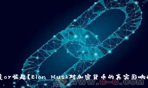 颠覆or崛起？Elon Musk对加密货币的真实影响揭秘