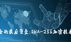 数字货币安全的最后堡垒：SHA-256加密技术揭示的