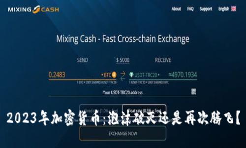 2023年加密货币：泡沫破灭还是再次腾飞？