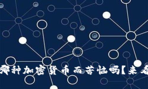 你还在为选择哪种加密货币而苦恼吗？来看看CVT的潜力！