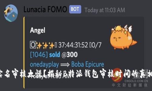 实名审核太慢？揭秘B特派钱包审核时间的真相！