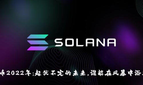 加密货币2022年：起伏不定的未来，谁能在风暴中浴火重生？