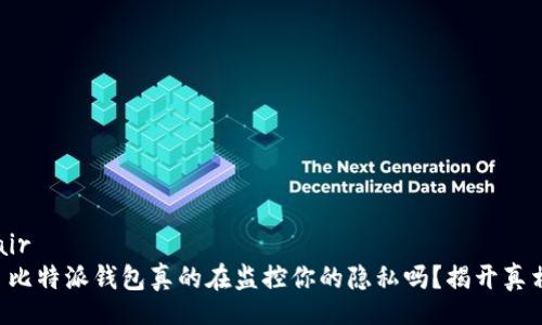 pair
  比特派钱包真的在监控你的隐私吗？揭开真相！