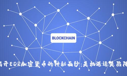 揭开EDR加密货币的神秘面纱：是机遇还是陷阱？