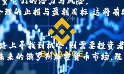    俄罗斯的加密货币游戏：风险与机遇的较量  / 
 guanjianci  加密货币, 俄罗斯, 投资  /guanjianci 

引言：数字货币的兴起
在过去的十年里，加密货币如比特币、以太坊等已经占据了全球金融领域的中心舞台。作为一种去中心化的数字资产，加密货币通过区块链技术，提供了透明、安全和匿名的交易方式。这一技术的引入，为投资者和消费群体开辟了新的选择和机遇。然而，随着这些新兴市场的发展，背后也伴随着不少挑战与争议。特别是在国家政策千变万化的背景下，俄罗斯的加密货币现状则成为了一个极具话题性的话题。

俄罗斯的加密货币政策现状
近年来，俄罗斯对于加密货币的态度可谓是复杂多变。虽然在2018年俄罗斯就颁布了一部《关于数字金融资产的法律》的规定，试图规范数字货币市场，但该法律的执行力却不足。由于监管缺失和相关法律的模糊性，许多投资者仍然犹豫不决。
尽管有法律的框架，但具体的实施细则尚未明确，导致市场上依然存在许多风险。这种不确定性对于普通投资者而言，是一把双刃剑：它能为勇于冒险者创造机会，但对于保守型投资者的吸引力却大打折扣。

加密货币在俄罗斯的潜力与挑战
在俄罗斯，加密货币被视为一种潜在的投资工具，尤其是在经济不稳定的情况下。对于想要规避通货膨胀和卢布贬值的投资者来说，加密货币提供了一个替代方案。
然而，挑战并不少见。首先，俄罗斯政府机构对于加密货币的态度并不统一，这意味着投资者面临政策变化的风险。在很多情况下，加密货币被认为是非法的，政府对涉及到加密货币的金融活动进行严格监管，导致市场环境不够明朗。

文化背景下的加密货币
在考虑俄罗斯加密货币市场时，不可忽视的一个点是其文化和历史背景。俄罗斯有着悠久的贸易和商业传统，但在经历了前苏联时期的经济转型后，市场逐渐复杂多变。人们对于新兴事物的接受度通常伴随着疑虑和谨慎，同时也拥有挑战现状的渴望。
对于年轻一代而言，加密货币不仅仅是投资工具，更是一种生活方式。他们熟悉数字技术，倾向于探索不受传统银行限制的金融解决方案。这种文化的融合使得加密货币在社会底层获得了一定的支持，但也未能改变整体的政策导向。

精明投资者的应对之策
在这样的市场环境下，投资者需要变得更加精明。首先，深入了解市场动态，随时关注俄罗斯政府的政策变化至关重要。此外，在选择投资产品时，要对不同类型的加密货币进行全面分析，考量它们的潜力与风险。
例如，某些币种可能在短期内波动较大，但在长期的投资策略中，却能带来良好的回报。投资者还应保持灵活性，善于调整自己的投资组合，适应市场的变化。与此同时，做好风险控制，设定合理的止损与盈利目标，这将有助于在波动的市场中保障自身利益。

结论：未来的道路
面对不确定性的市场环境，俄罗斯的加密货币无疑在风险与机遇中游走。尽管现实中存在不少障碍，但整体趋势显示，加密货币在俄罗斯的未来依然值得关注。而怎样在这条充满挑战的道路上寻找到机会，则需要投资者用心去探索。
如同任何一种新兴的技术和市场，加密货币并不简单。它并非适合所有人，尤其在法律和政策尚未完全明确的国家。精准判断自身的财务状况、年龄、风险承受能力等均为成功投资的基石。未来的俄罗斯加密货币市场，既需要勇敢的开拓者，也需要理性的守护者。通过不断学习与适应，才能在这个复杂而充满挑战的市场中找到属于自己的位置。