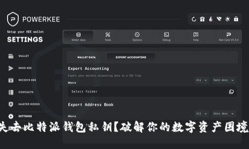 失去比特派钱包私钥？破解你的数字资产困境！
