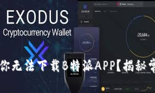 到底是什么原因让你无法下载B特派APP？揭秘常见问题及解决方案