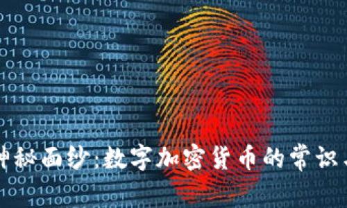 揭开神秘面纱：数字加密货币的常识与误区