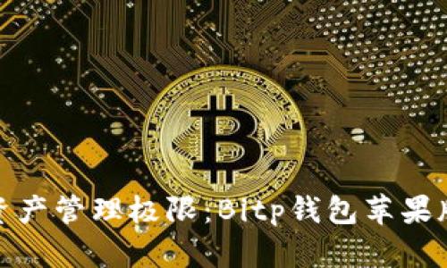 挑战你的数字资产管理极限：Bitp钱包苹果版使用体验评测
