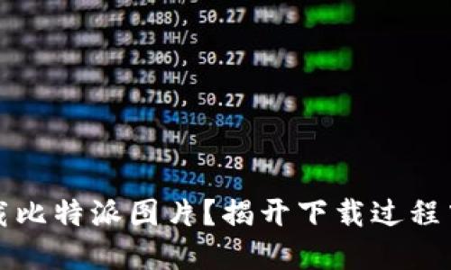 如何安全高效地下载比特派图片？揭开下载过程中的挑战与解决方案