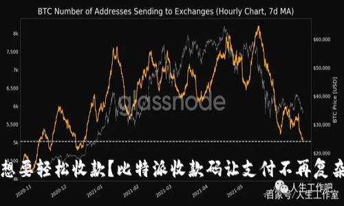  想要轻松收款？比特派收款码让支付不再复杂！