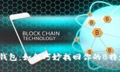 失去的钱包：如何巧妙找回你的B特派钱包？