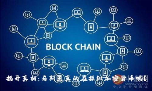 揭开真相：马斯克真的在操纵加密货币吗？