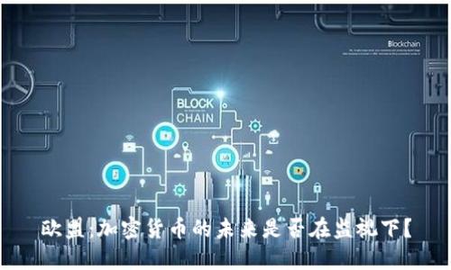 欧盟：加密货币的未来是否在监视下？