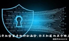 揭开加密货币的神秘面纱：你不知道的五个特点