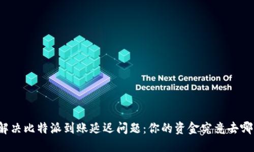 如何解决比特派到账延迟问题：你的资金究竟去哪儿了？