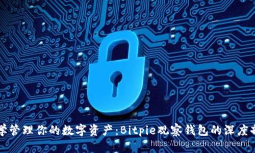 科学管理你的数字资产：Bitpie观察钱包的深度剖析