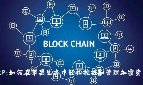 BitP：如何在苹果生态中轻松挖掘和管理加密资产？