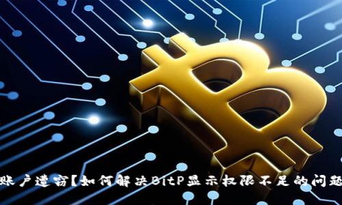 账户遭窃？如何解决BitP显示权限不足的问题