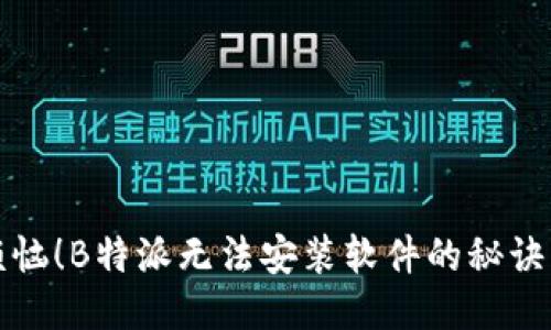 别再烦恼！B特派无法安装软件的秘诀大揭秘