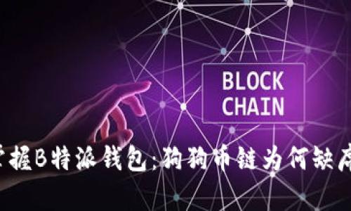 掌握B特派钱包：狗狗币链为何缺席？