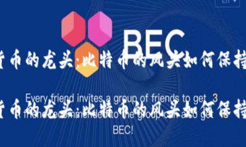 加密货币的龙头：比特币的风头如何保持不衰？

加密货币的龙头：比特币的风头如何保持不衰？