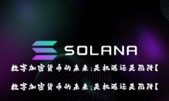 数字加密货币的未来：是机遇还是陷阱？数字加