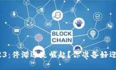 加密货币2023：停滞还是崛起？你准备好迎接挑战