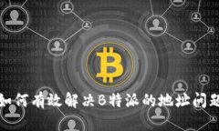 如何有效解决B特派的地址问题