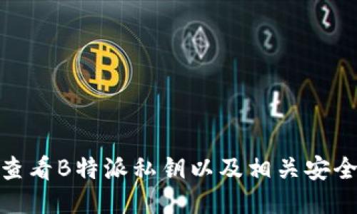 如何查看B特派私钥以及相关安全措施