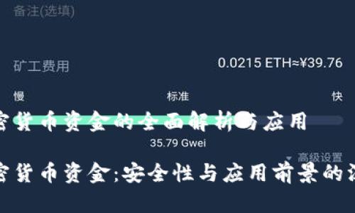 对称加密货币资金的全面解析与应用

对称加密货币资金：安全性与应用前景的深度探讨
