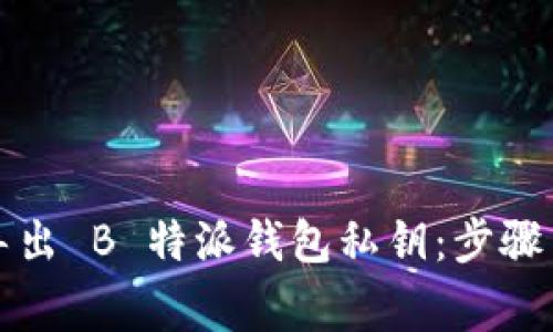 如何安全导出 B 特派钱包私钥：步骤与注意事项