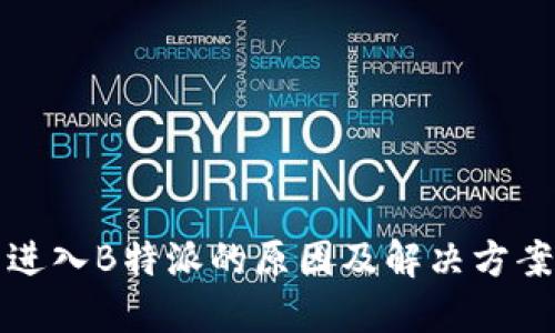 无法进入B特派的原因及解决方案详解