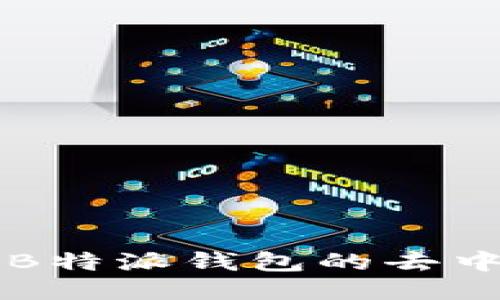 深入探讨B特派钱包的去中心化性质