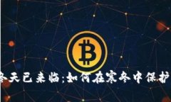加密货币冬天已来临：如何在寒冬中保护你的投