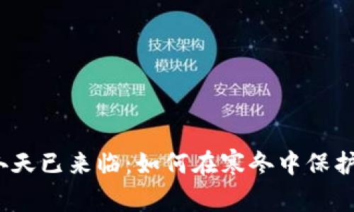 加密货币冬天已来临：如何在寒冬中保护你的投资？