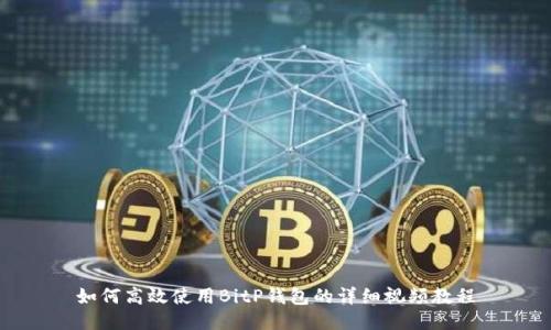 如何高效使用BitP钱包的详细视频教程