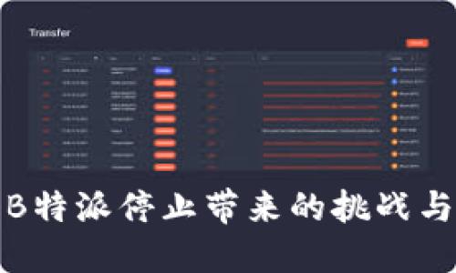 如何处理B特派停止带来的挑战与解决方案