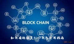 如何有效恢复BitP钱包使用指南