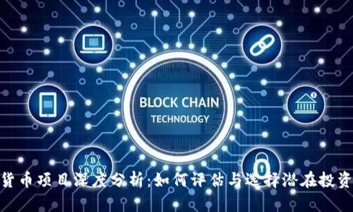 加密货币项目深度分析：如何评估与选择潜在投资机会