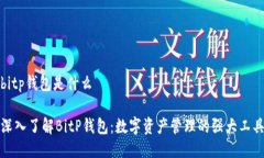 bitp钱包是什么深入了解BitP钱包：数字资产管理的
