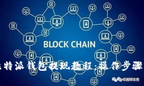 全面了解比特派钱包提现教程：操作步骤与注意事项