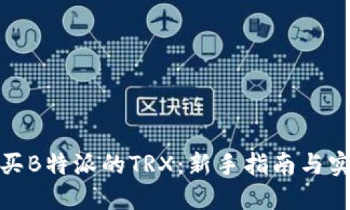 如何购买B特派的TRX：新手指南与实战步骤