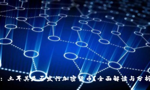 : 土耳其是否发行加密货币？全面解读与分析