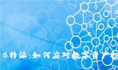 揭秘XRP B特派：如何应对数字资产投资的挑战
