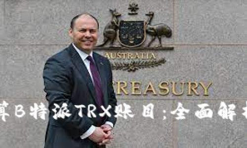 如何准确计算B特派TRX账目：全面解析与实用指南
