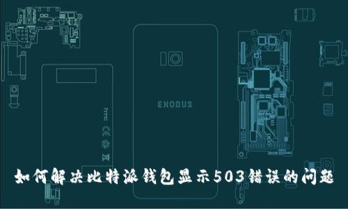 如何解决比特派钱包显示503错误的问题