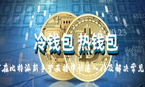如何在比特派新手营直播中快速入门及解决常见问题