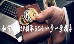 如何从BitP提取BCH：一步一步指导